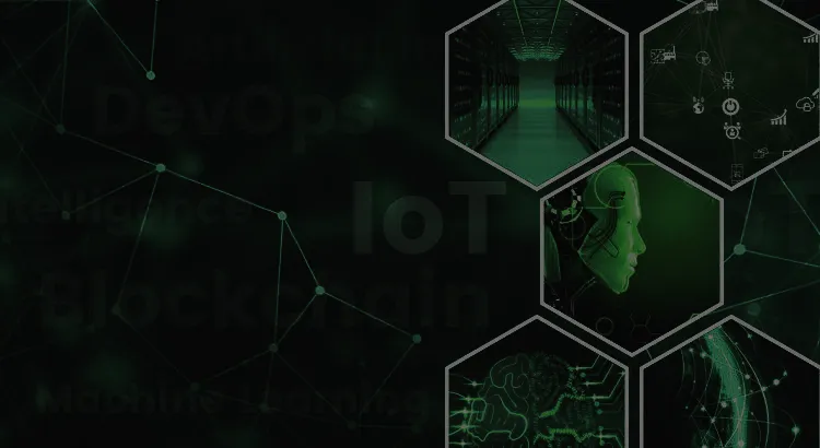 Life cycle of the project
